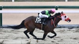 【根岸S登録馬】ビダーヤなど23頭