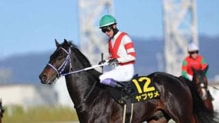 武豊騎手 今週の騎乗馬…ヤブサメが重賞初挑戦
