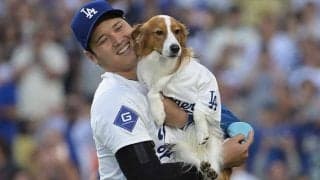 大谷翔平の「絵本興味なかったけど」→ファンの心理一変　公開された1枚「可愛すぎる」