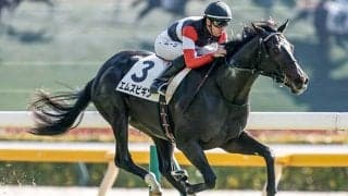 【きさらぎ賞】エムズビギン、ショウナンガルフらが登録