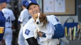 なぜ大谷翔平は絵本執筆？　愛娘に「絶好のタイミング」…全額寄付は「少しだけ交渉した方が」