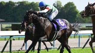 【京都記念想定馬・騎手】ヘデントール、エリキングなど14頭