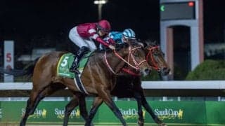 【サウジカップデー】フォーエバーヤングなど日本勢が現地到着