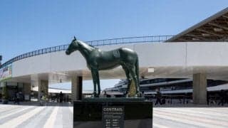 【エルフィンS】阪神JF・4着のスウィートハピネスが人気に応える