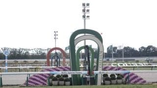 京都競馬が再び中止…8日→9日に順延も積雪の影響続く、代替は10日に実施へ