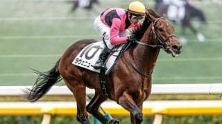 【共同通信杯】ロブチェン、ラヴェニューらが登録