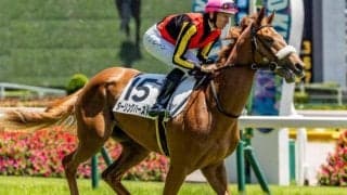 半兄はフォーエバーヤング ダーリングハーストが2戦目で確勝期す