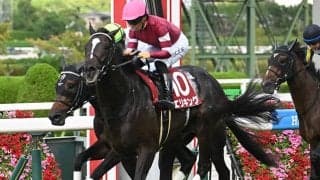 【京都記念枠順確定】エリキングは5枠6番、ヘデントールは1枠1番