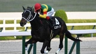 【京都記念予想】前走で重賞に出走していた馬に良績が集中！ 格下から参戦する馬に求められる好走条件とは