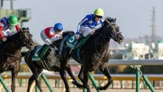 【共同通信杯】リアライズシリウスが重賞2勝目…無敗のG1馬ロブチェンは3着