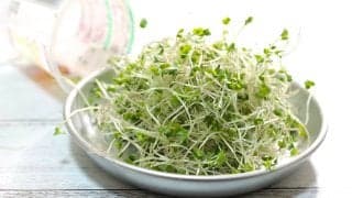 ブロッコリースプラウトを食べ続けるとどうなる？1週間〜3ヶ月の変化を医師が解説