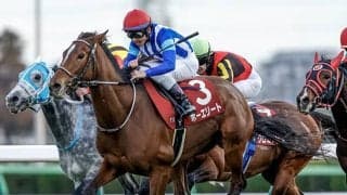 【ダイヤモンドS枠順確定】ホーエリートは7枠12番、スティンガーグラスは7枠13番