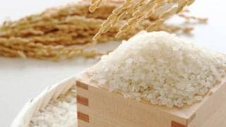 お米は太る？改めて見直したい「米」の魅力と品種ごとのおいしい食べ方