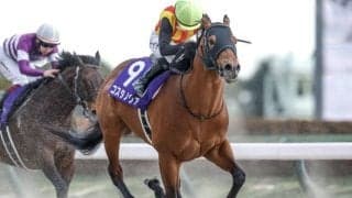 【フェブラリーS予想】「人気」「枠」「ローテ」「脚質」狙いは？ 過去データから探るGIフェブラリーS