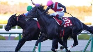 【オーシャンS登録馬】高松宮記念前哨戦にルガルなど18頭