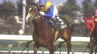 エアグルーヴの重賞初制覇から30年 96年チューリップ賞を振り返る