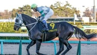 【オーシャンS予想】春のスプリント王へ 実績と適性が交差する前哨戦
