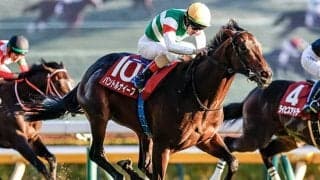 【弥生賞】タイダルロック、パントルナイーフらが登録