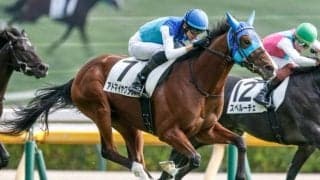 【弥生賞展望】実績馬アドマイヤクワッズが中心、波乱の鍵は同距離組