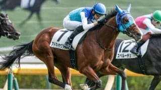 【弥生賞枠順確定】アドマイヤクワッズは6枠6番、ライヒスアドラーは4枠4番