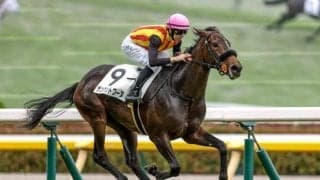 【フィリーズレビュー予想】桜の切符をかけた戦い スプリンターには厳しい舞台