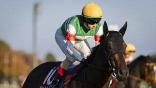 【競馬予想】本命なき牡馬クラシック戦線　「３歳牡馬ランキング」上位２頭も安泰ではない