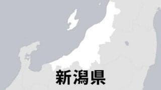 選抜高校野球、新潟勢の初戦決定　帝京長岡は東北、日本文理は高知農