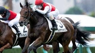 フィリーズレビュー当日の阪神芝は良に回復 内〜中枠の末脚タイプを狙おう