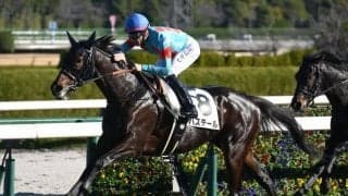 【弥生賞予想】前走でオープン特別以上の競馬を経験している馬が有利!? 過去の傾向や特徴から人気でも軽視したい一頭とは