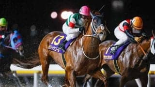 【船橋・ダイオライト記念枠順】3連覇がかかるセラフィックコールは1枠1番