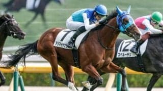【弥生賞・馬体重】アドマイヤクワッズは480kg(+2)、ライヒスアドラーは512kg(±0)