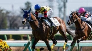 【中山7R】坂井瑠ディールメーカーが人気に応える…白毛のマルガは7着