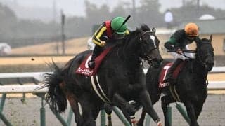 【金鯱賞】クイーンズウォーク、アーバンシックらが登録