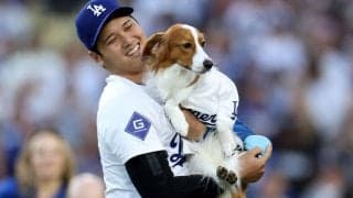 「犯人は自分なんだよなぁ」大谷翔平が公開したデコピンの“物憂げな表情”…「ギャップが可愛すぎますね！」