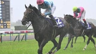 【先週のJRA抹消馬】一昨年の宝塚記念勝ち馬ブローザホーン、24年フェブラリーS覇者ペプチドナイルなど