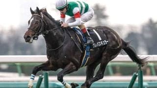 【スプリングS想定騎手】クレパスキュラーはC.ルメール騎手、アスクエジンバラは岩田康誠騎手
