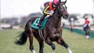 【金鯱賞予想オッズ】クイーンズウォークが予想1番人気