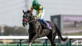 【阪神SJ予想オッズ】エコロデュエルが予想1番人気