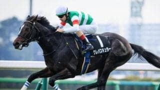 【スプリングS予想オッズ】クレパスキュラーが予想1番人気