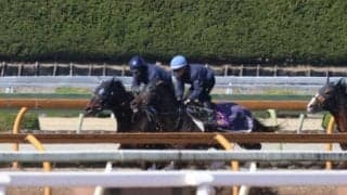 ミュージアムマイル、ドバイターフ追い切り速報/栗東トレセンニュース