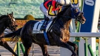 【スプリングS】母は樫2着のリリーノーブル アウダーシアが一族悲願の重賞タイトル獲得なるか