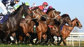 【スプリングS／穴ライズ】馬柱が綺麗な馬に隠れ“盲点”の存在　単勝オッズ10倍以上に再浮上の余地あり