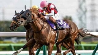 【高松宮記念】ウインカーネリアン、ナムラクレアなどが登録