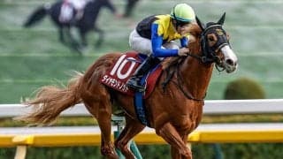 【ファルコンS想定騎手】ダイヤモンドノットは川田将雅騎手、エイシンディードは川又賢治騎手