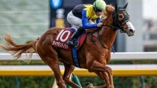 【ファルコンS出走馬・騎手確定】ダイヤモンドノット＆川田将雅騎手、タマモイカロス＆小沢大仁騎手など17頭