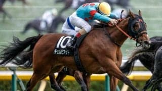 【愛知杯出走馬・騎手確定】チェルビアット＆西村淳也騎手、ドロップオブライト＆松若風馬騎手など18頭