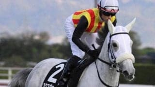レース史上初の牝馬Vなるか アクアヴァーナルが阪神大賞典に挑む