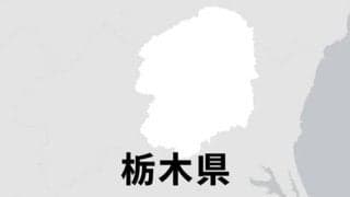 佐野日大、12年ぶりに甲子園で入場行進　選抜高校野球大会が開幕