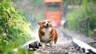 日常生活でストレスが全くないことはない、上手に息抜きしましょう！