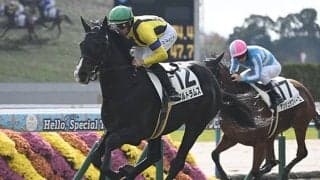 【毎日杯】アルトラムス、カフジエメンタールなどが登録